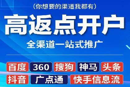 百度竞价排名策略解析：一家公司的广告投放策略全揭秘